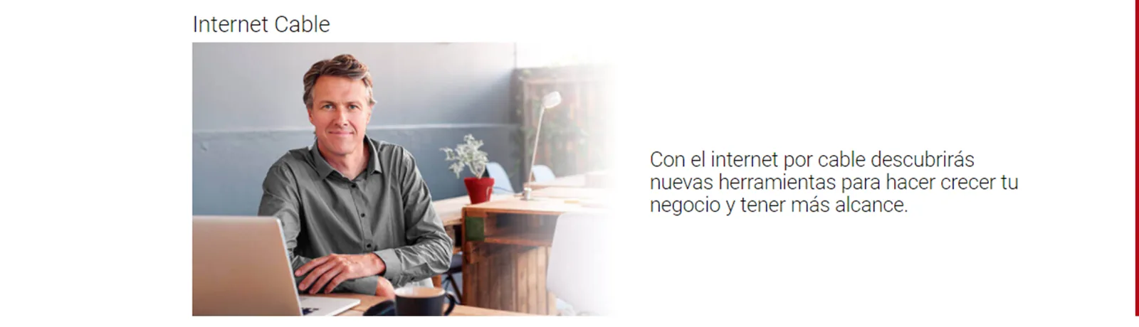 Internet por cable