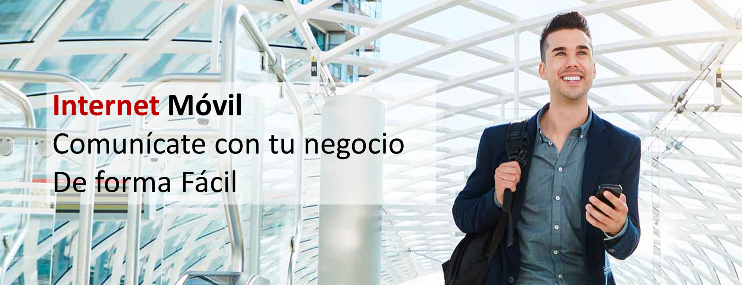 internet movil